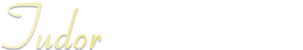帝舵维修