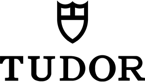 帝舵维修
