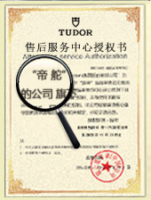 帝舵维修